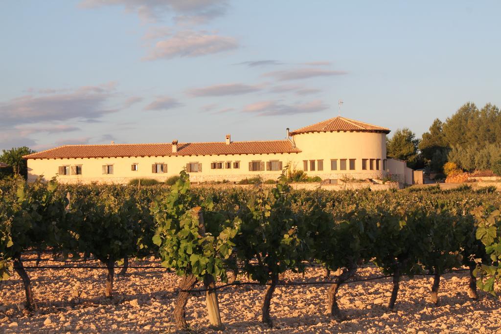 Hotel Enoturismo Mainetes Fuente-Alamo  ภายนอก รูปภาพ