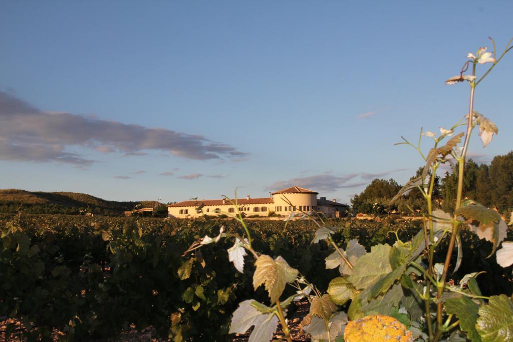 Hotel Enoturismo Mainetes Fuente-Alamo  ภายนอก รูปภาพ